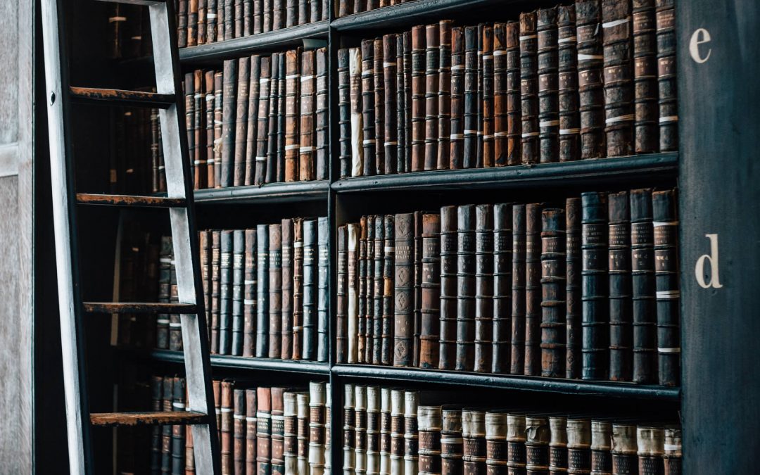 Hiring a Writer for Your Business? What You Need to Know