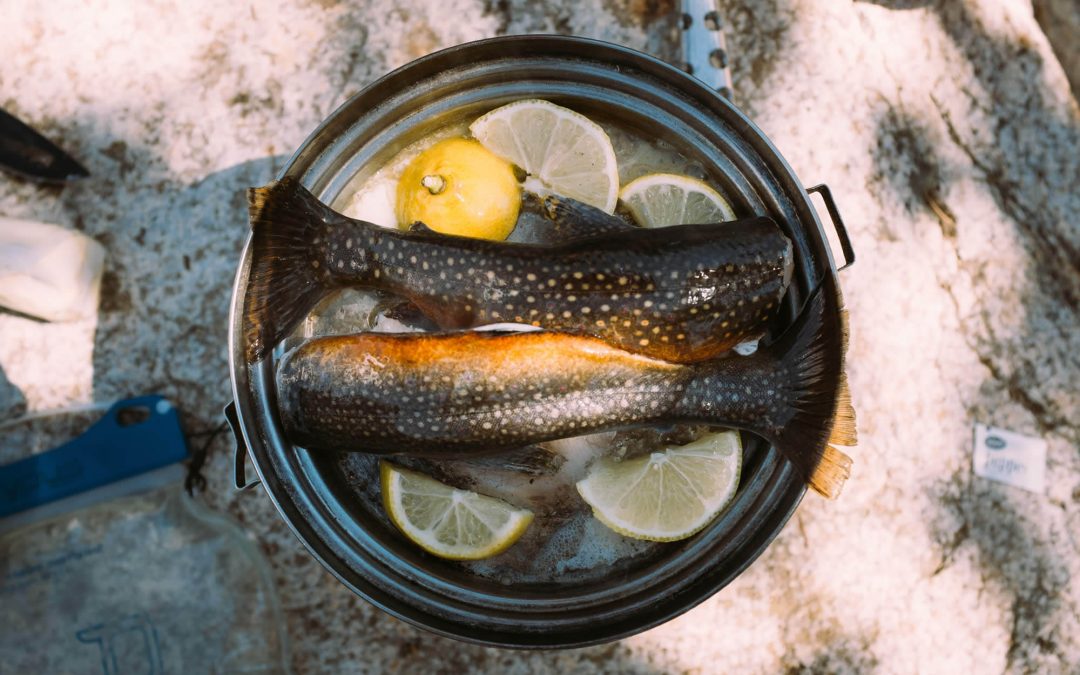 Spacious Free Divi Page Layout